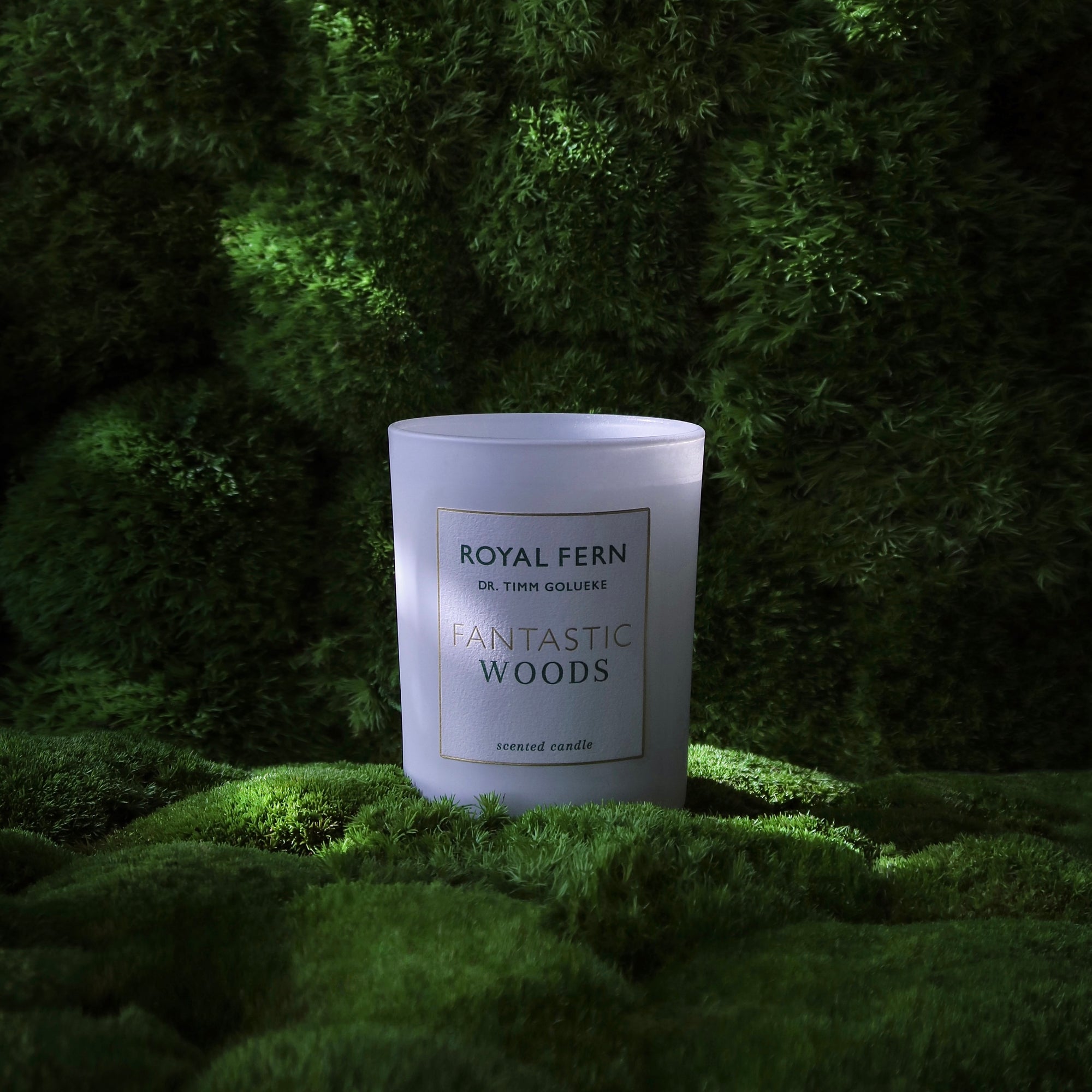 NEW IN: FANTASTIC WOODS
